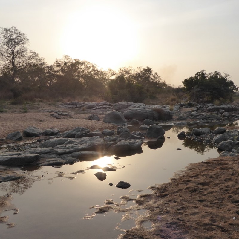 Bouba Ndjida Nationaal&nbsp;Park