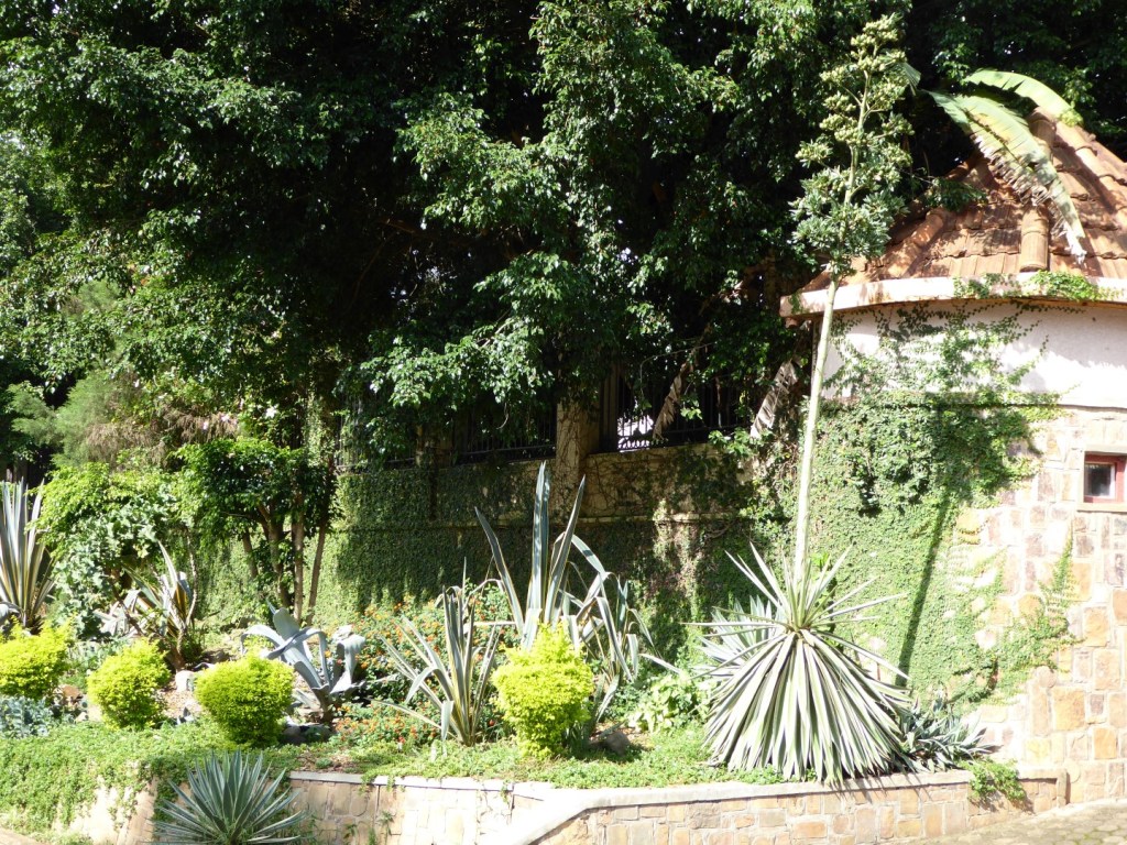 Is dit Afrika? Deel&nbsp;4