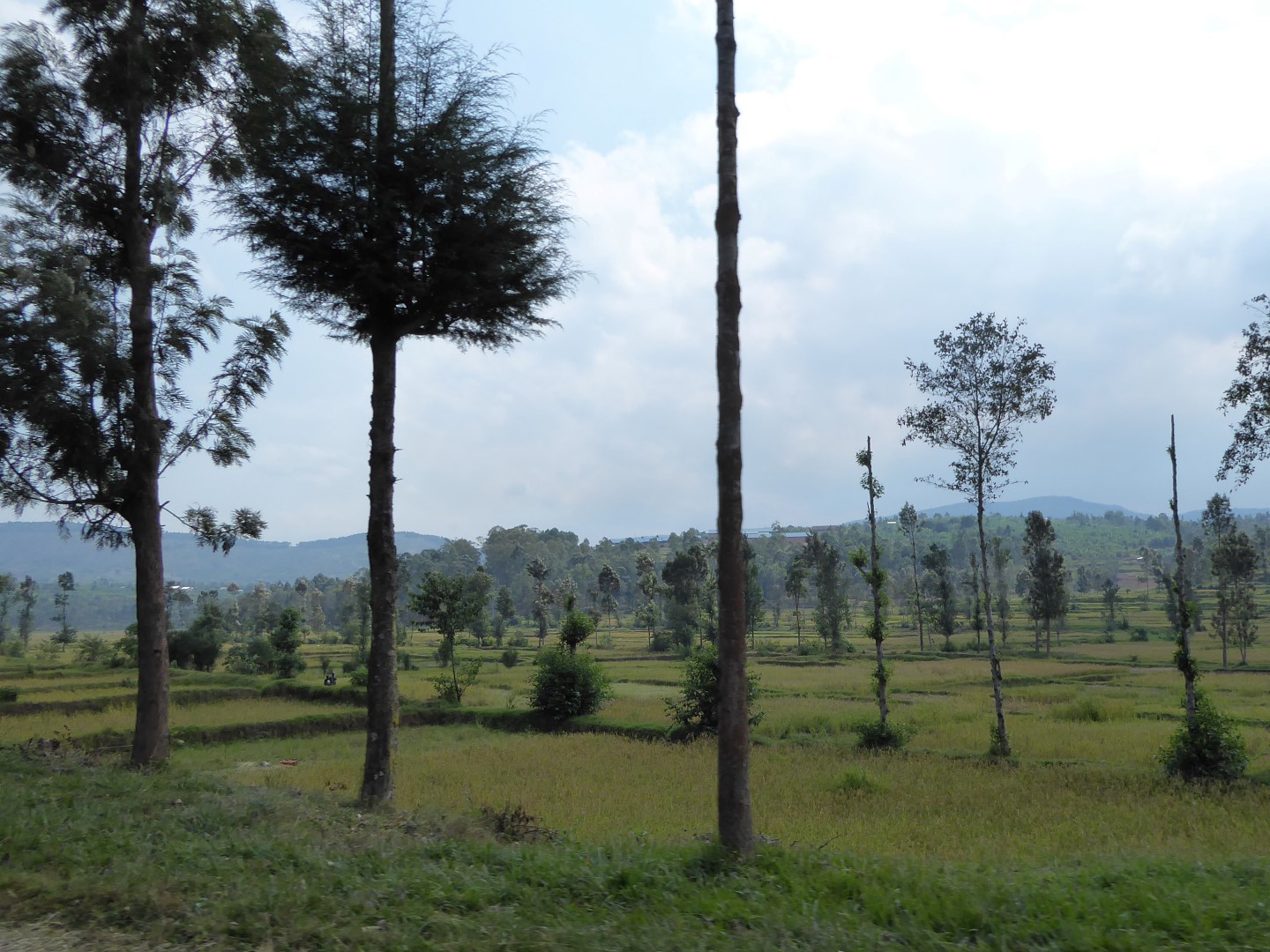 P1020707 bewerkt (Large)