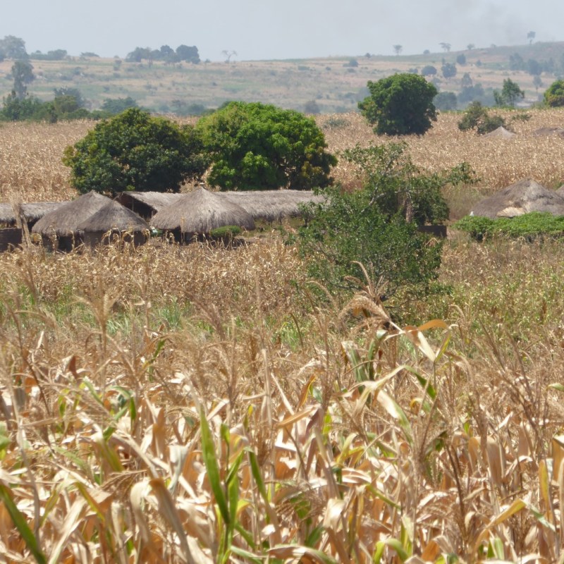 Hutjes langs de weg,&nbsp;Noord-Uganda