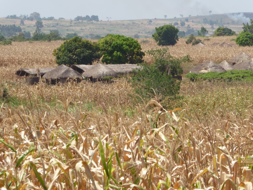 Hutjes langs de weg,&nbsp;Noord-Uganda