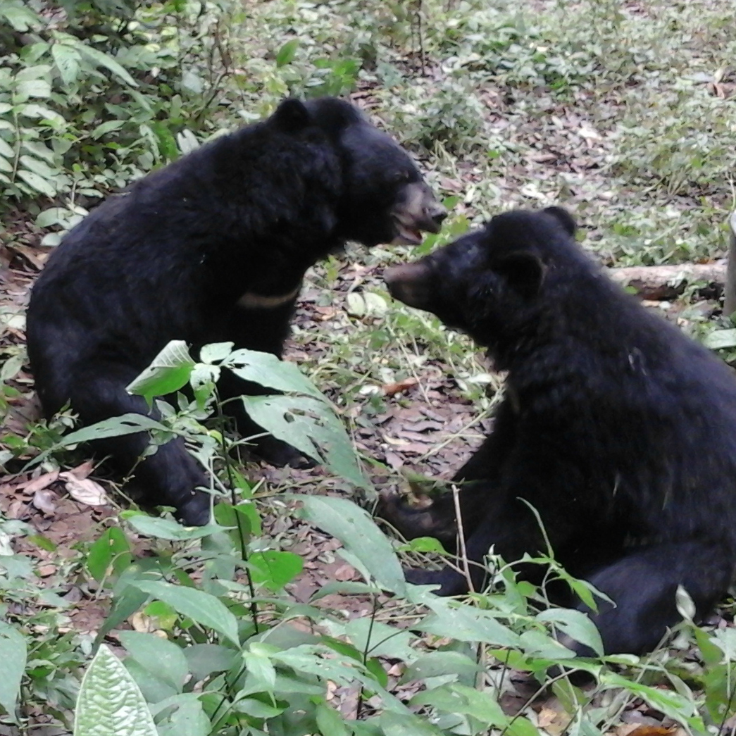 20151208_101128 large