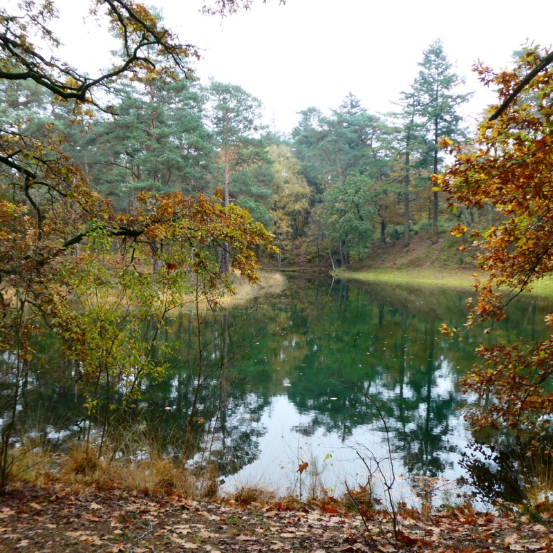 Waterlopen, Utrechtse Heuvelrug