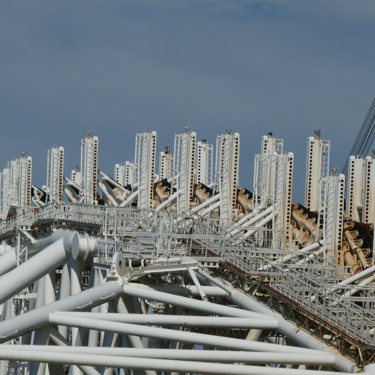 Het grootste schip ter&nbsp;wereld