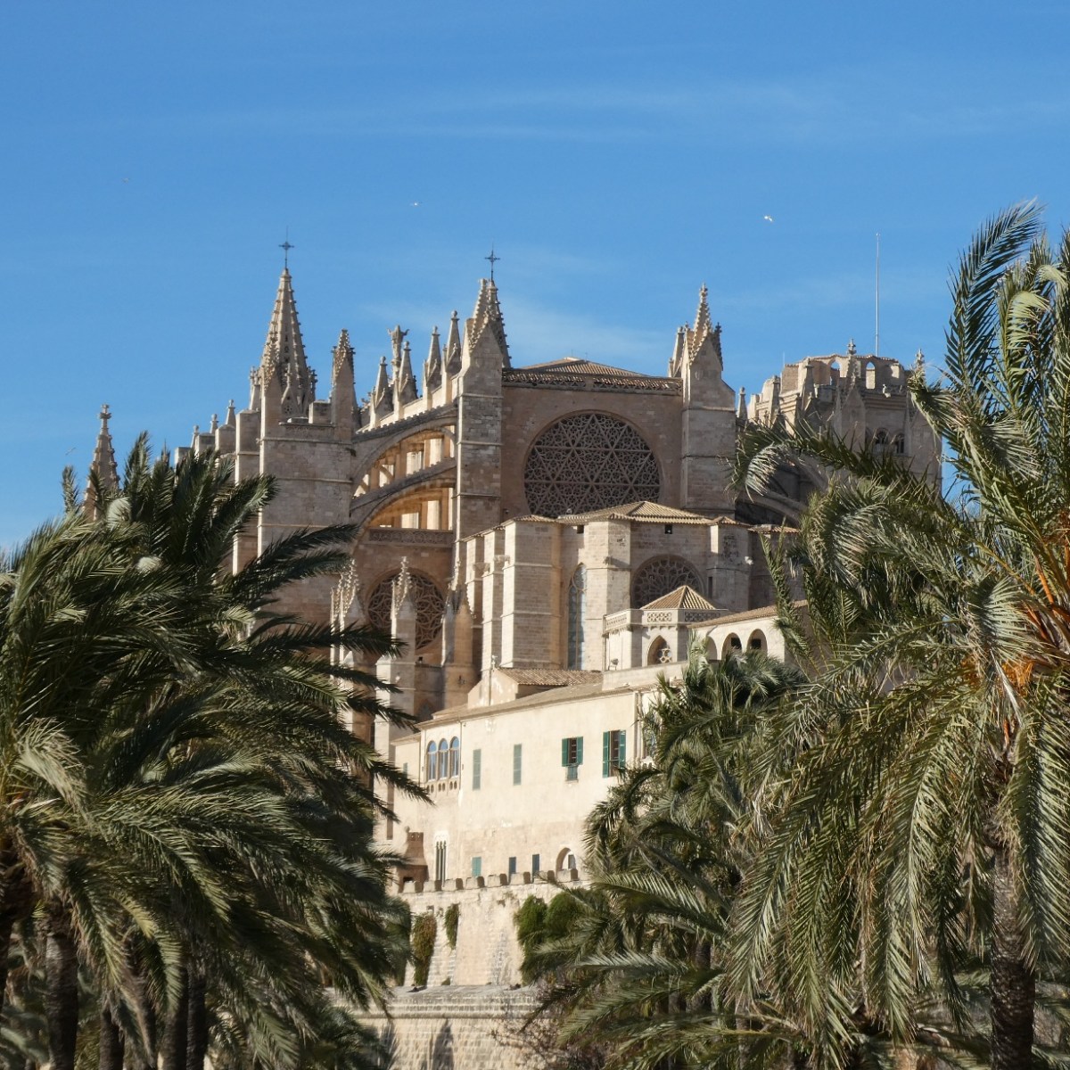 La Seu, Palma de&nbsp;Mallorca