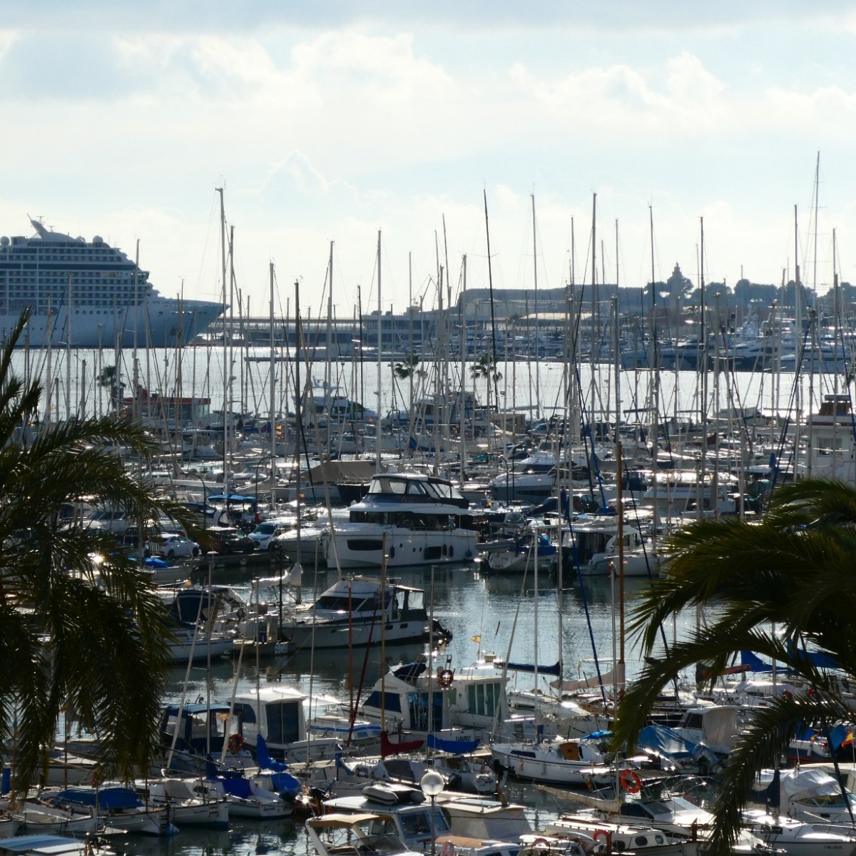 Jachthaven, Palma de&nbsp;Mallorca