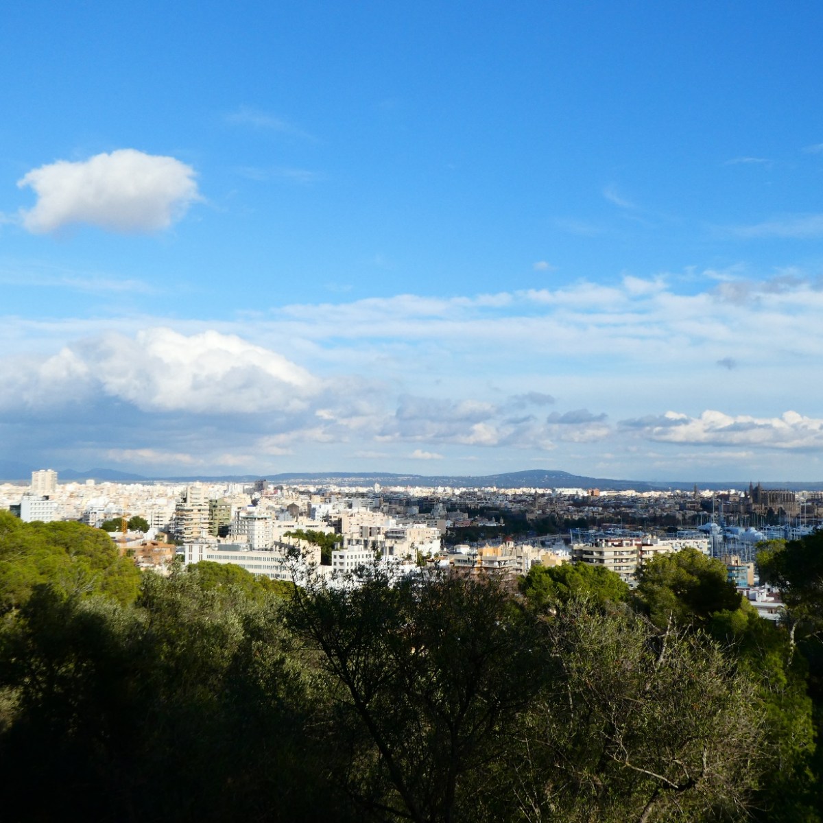 Uitzicht over Palma de&nbsp;Mallorca