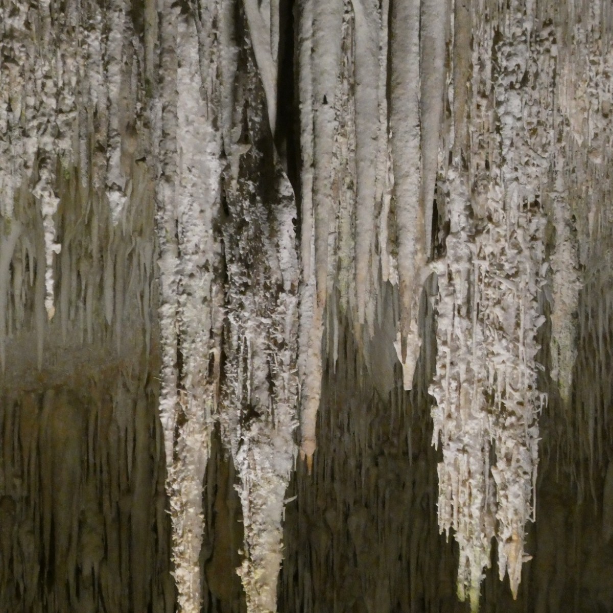 Drakengrotten, Mallorca