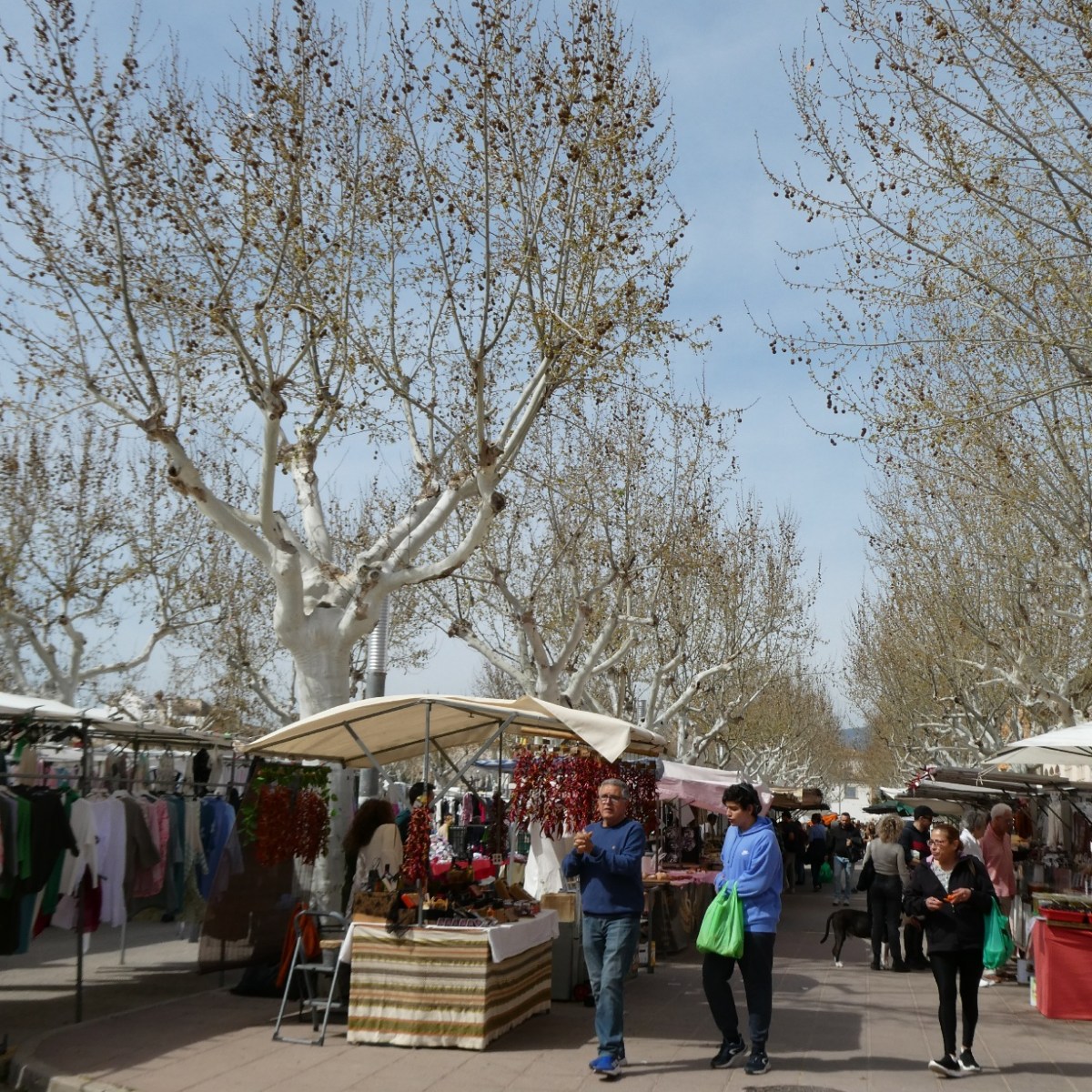 Santa Maria del&nbsp;Camí