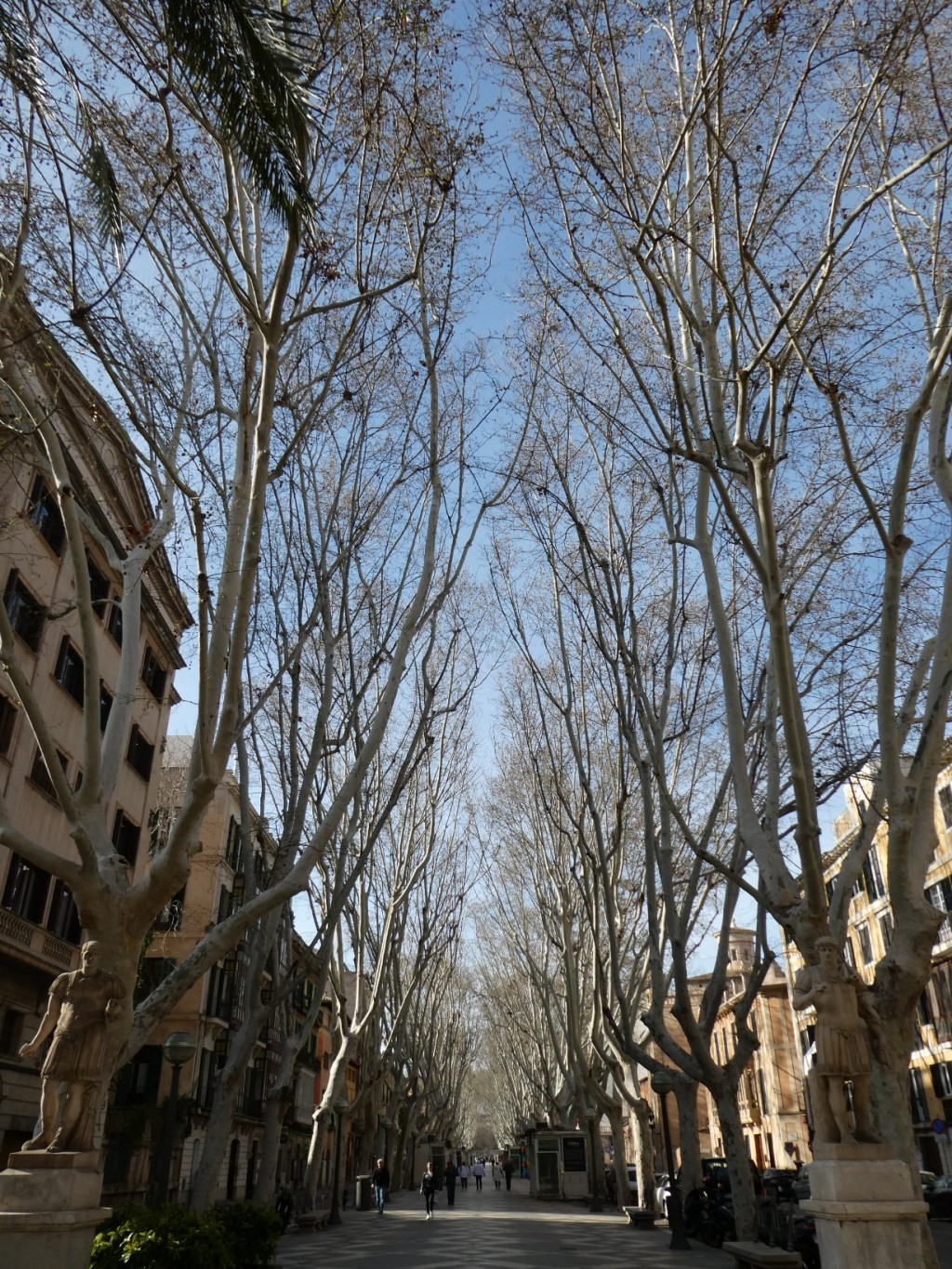 La Rambla, Palma de&nbsp;Mallorca