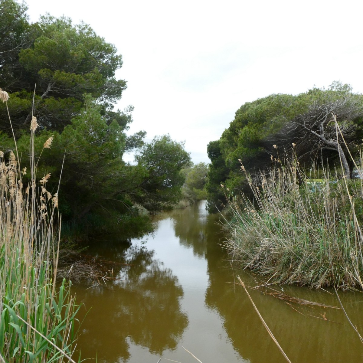Nationaal Park S’Albufera