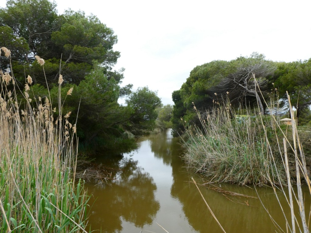 Nationaal Park S’Albufera