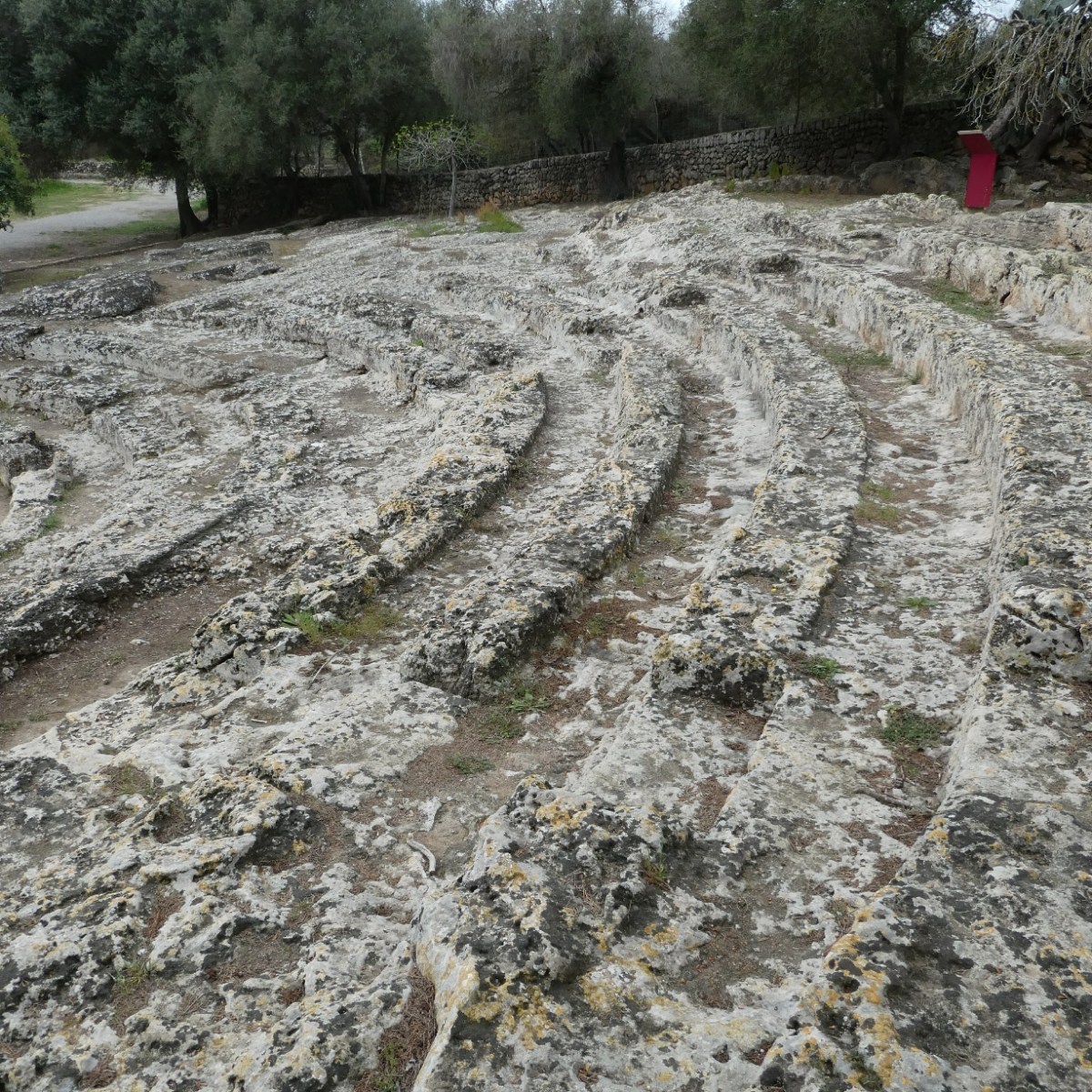 Amfitheater, Pollentia