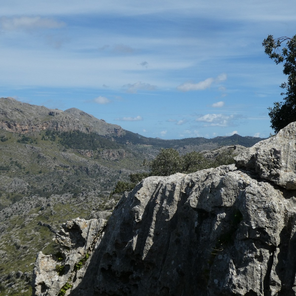 Rotsen, Serra de&nbsp;Tramuntana