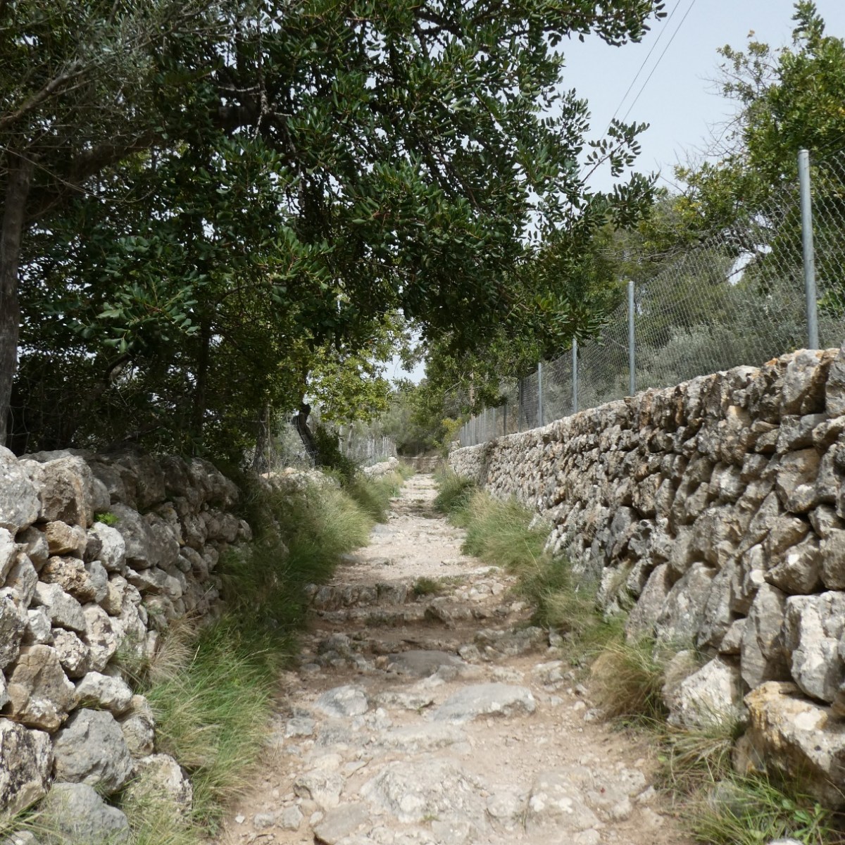 Tussen Estellencs en&nbsp;Banyalbufar