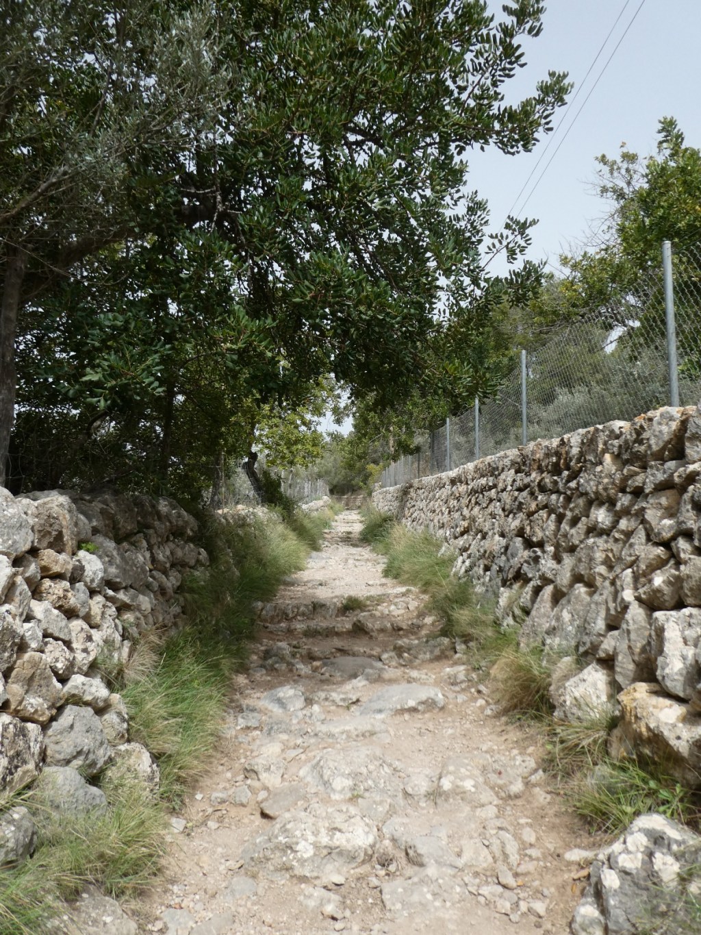 Tussen Estellencs en Banyalbufar