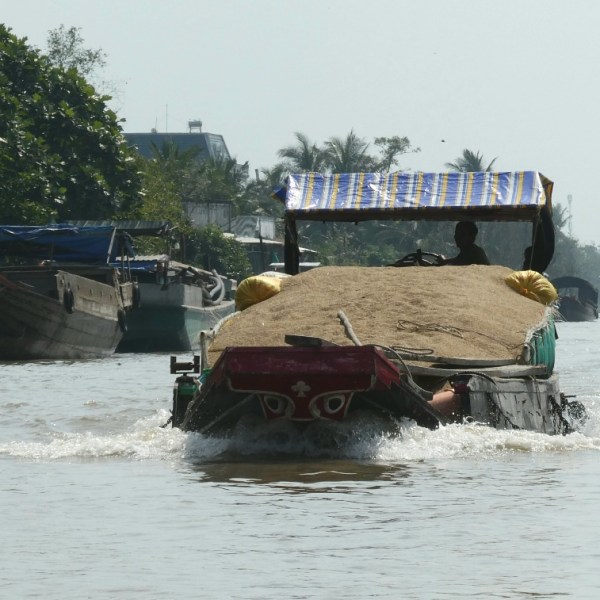 Boten in de&nbsp;Mekongdelta