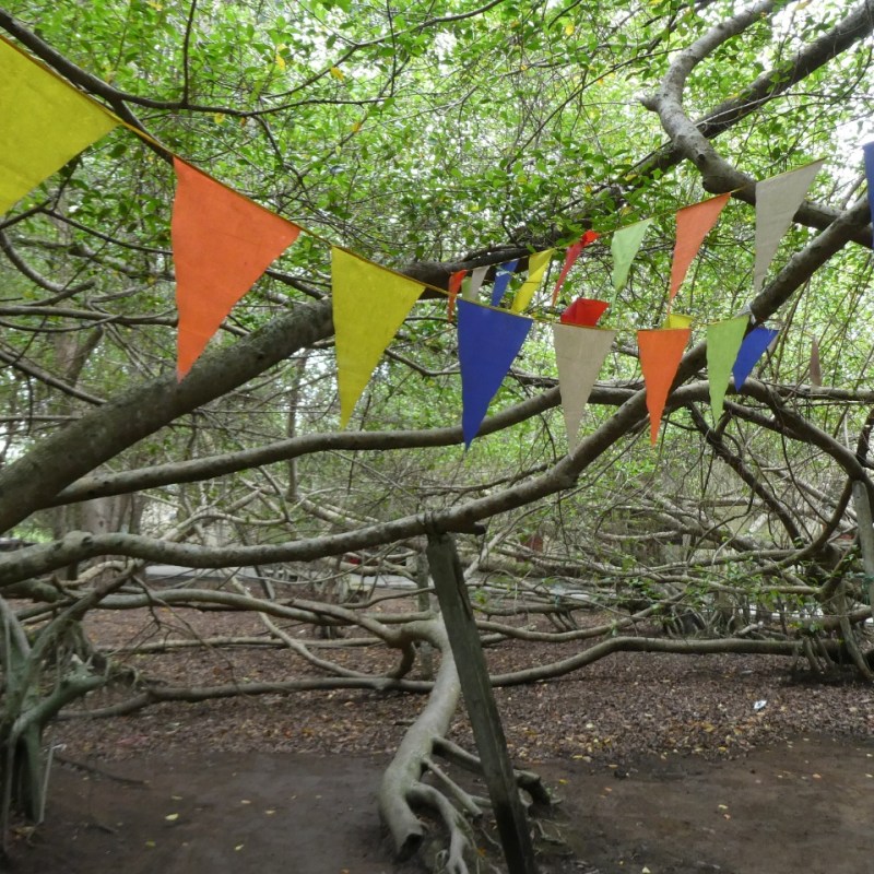 Vietnamese erfgoedbomen