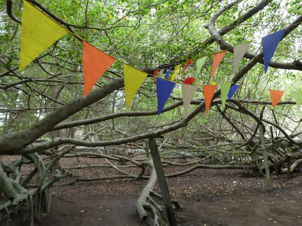 Vietnamese erfgoedbomen