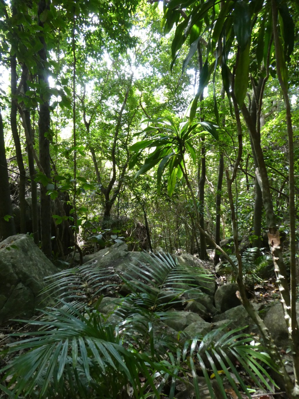 Con Dao nationaal&nbsp;park