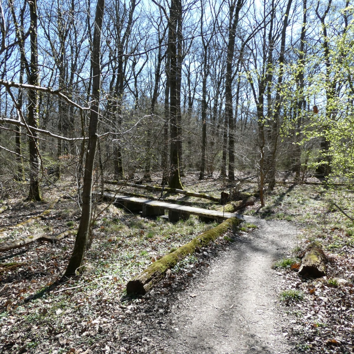 Arnsberger Wald, Sauerland