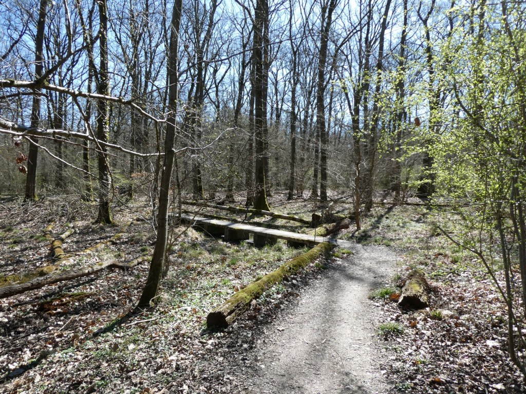 Arnsberger Wald, Sauerland