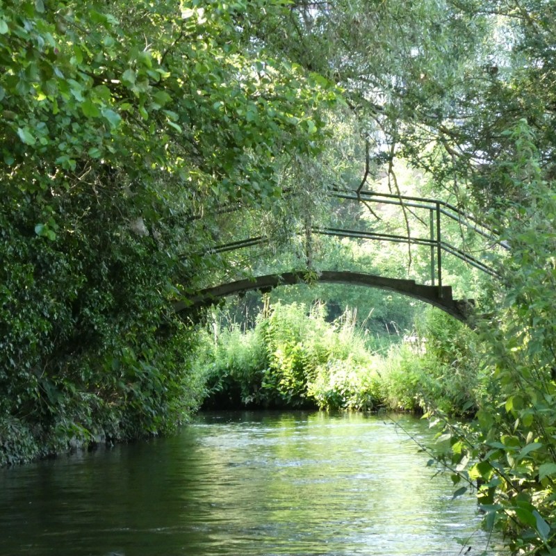 Hortillonages, Amiens