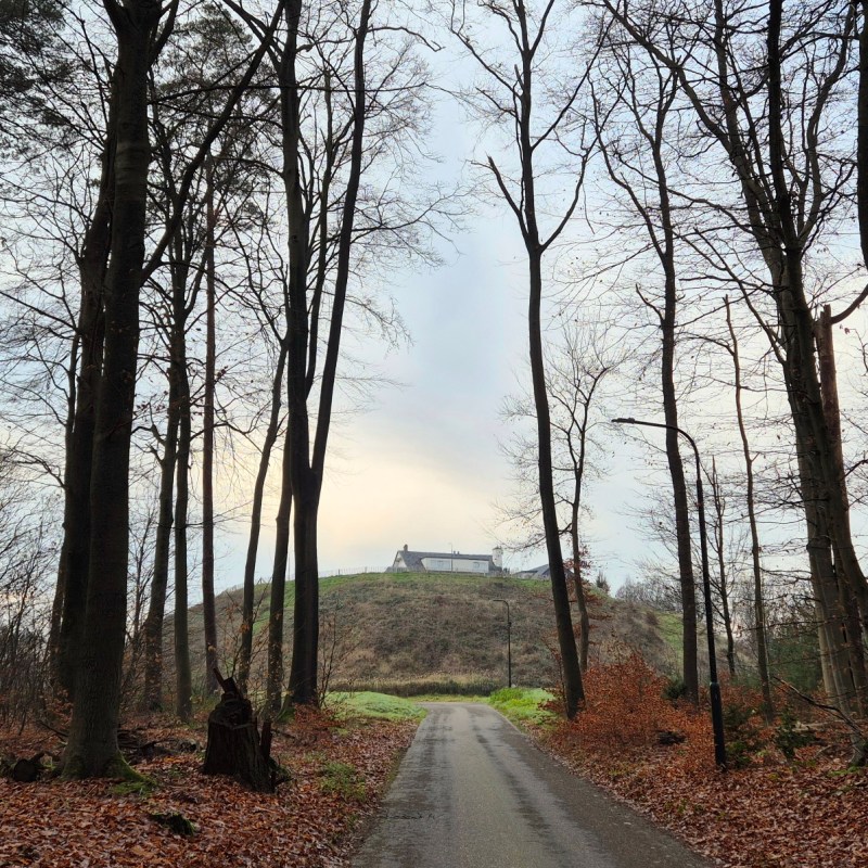 Motte van Landgoed&nbsp;Montferland