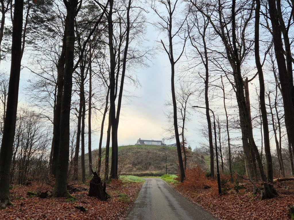 Motte van Landgoed Montferland