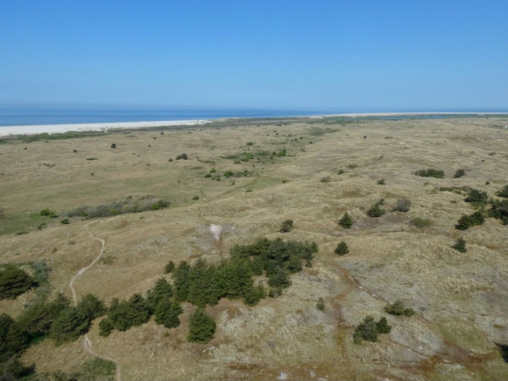 Noordzeeduinen, Ameland