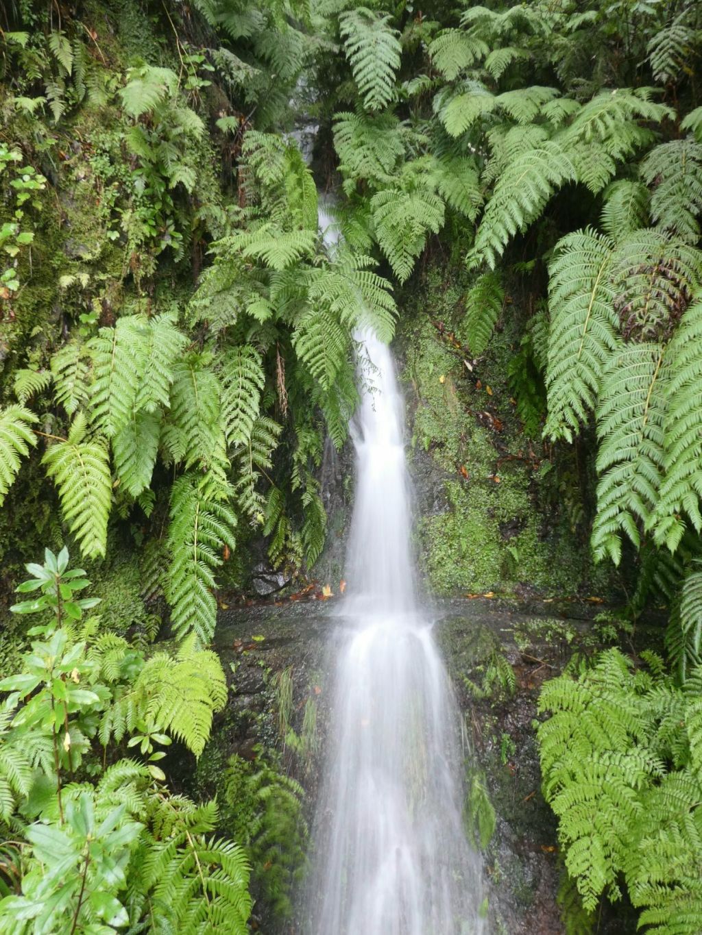 Watervallen langs de Levada dos Cedros