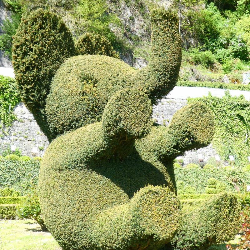 Vormsnoeipark, Durbuy