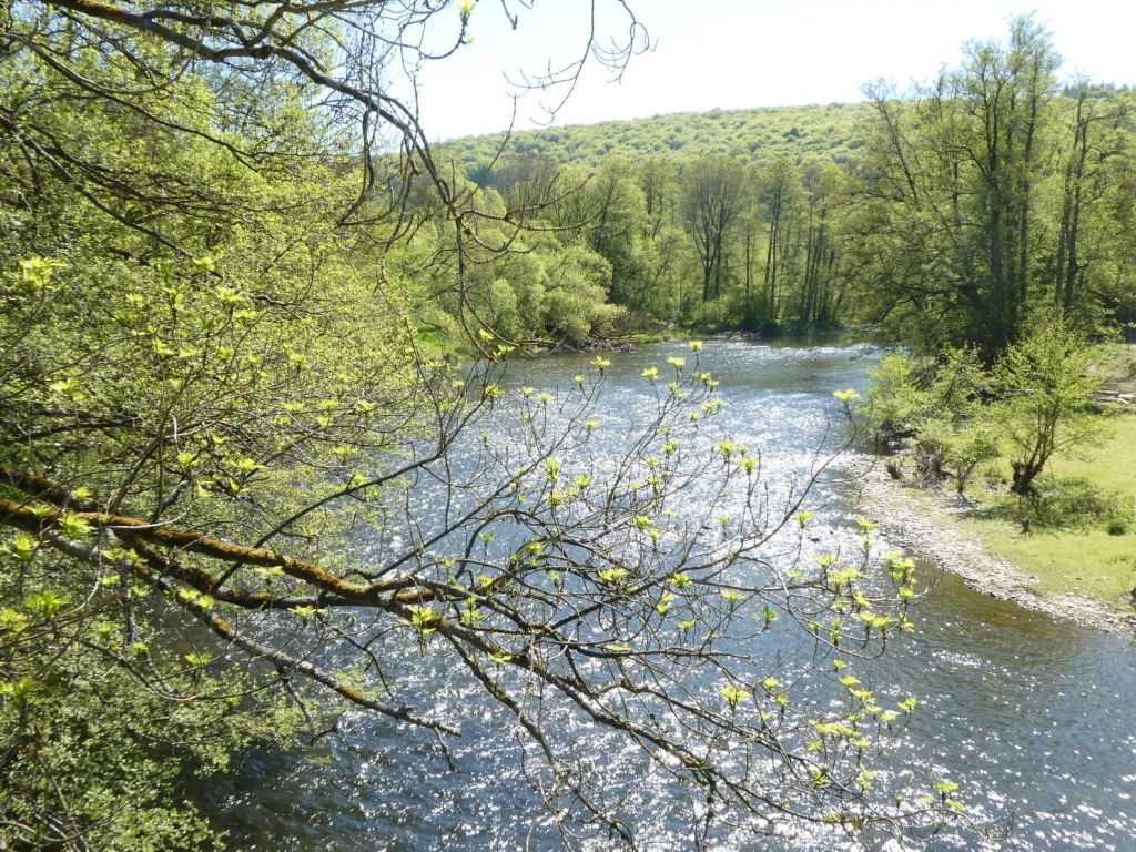 Wandelen langs de Ourthe bij&nbsp;Hotton